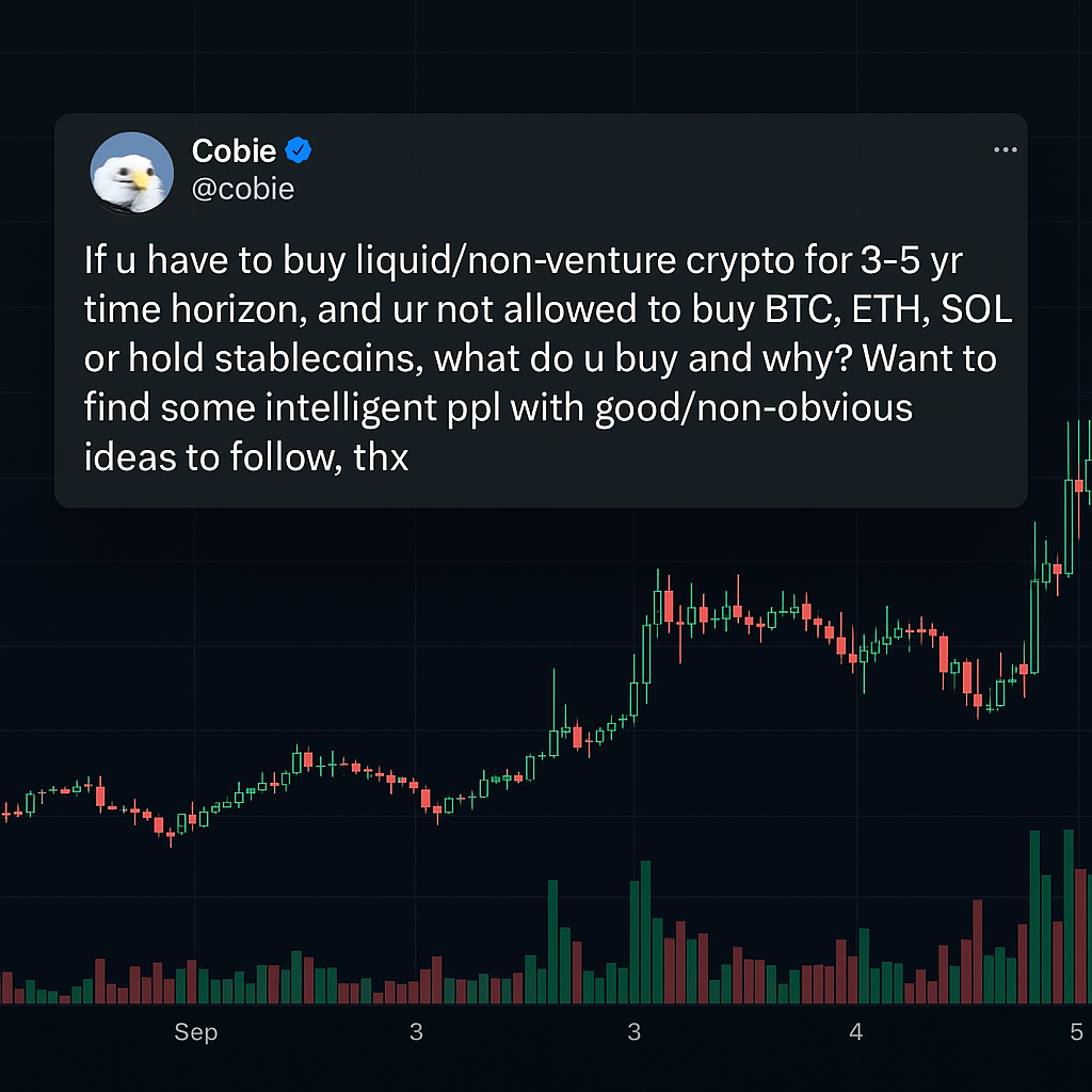 Su quali Crypto investire nei prossimi 3-5 anni (Secondo Gli Esperti)